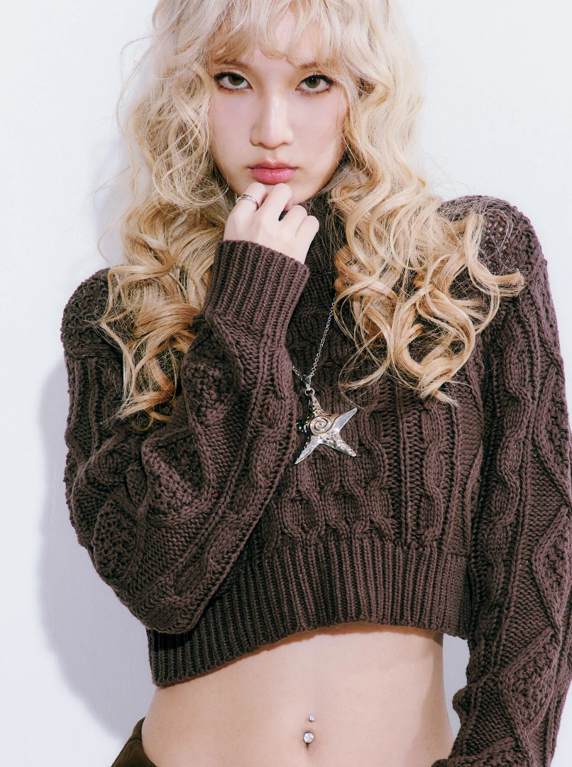 麻花高領短版針織毛衣